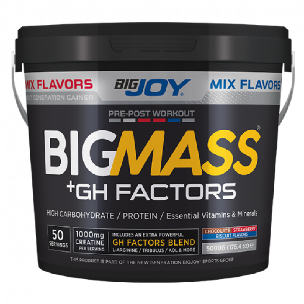 Bigjoy Big Mass +GH Factors 5000 Gr Mix