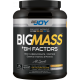 Bigjoy Sports BIGMASS Gainer GH FACTORS 1500 gr