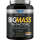 Bigjoy Sports BIGMASS Gainer GH FACTORS 1500 gr