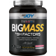 Bigjoy Sports BIGMASS Gainer GH FACTORS 1500 gr